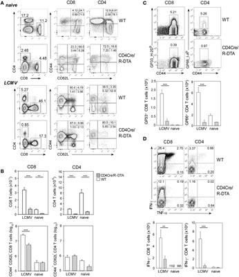 CD4 T Helper Cells Instruct Lymphopenia-Induced Memory-Like CD8 T Cells for Control of Acute LCMV Infection